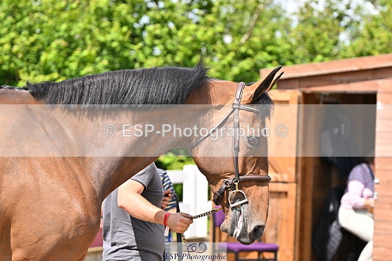 240718A-105242-01052 - Trot Up 11am to 12pm