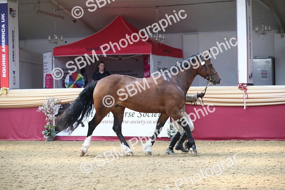 SBM_15181 - Class 501 M&M IH Supreme Final