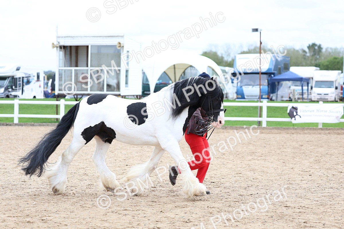 SBM_05943 - Class 29 - IH Veteran Pony