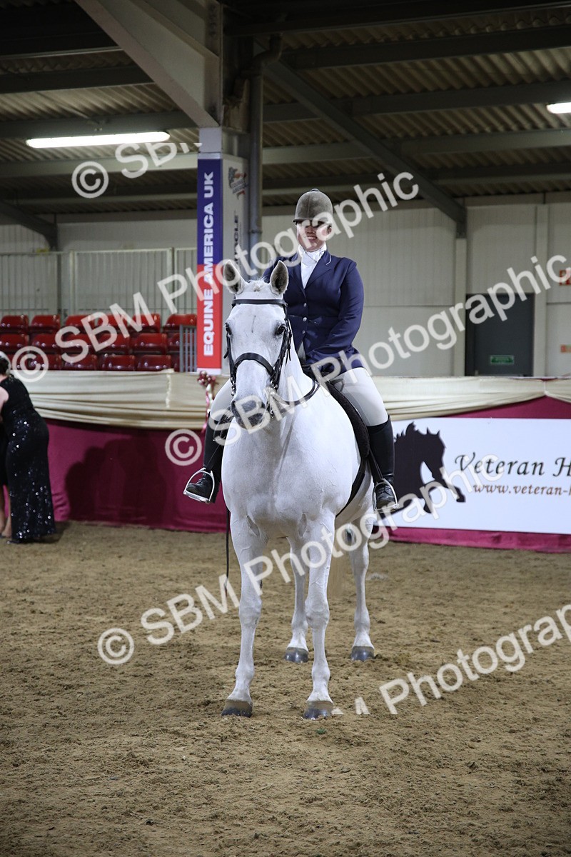 5K7A1562 - Class O Ridden Show Horse Champ