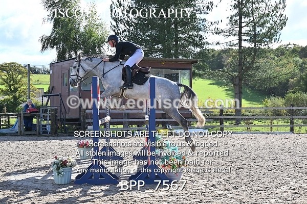 BPP_7567 - CLASS 8 Senior Newcomers/ 1.10m Open