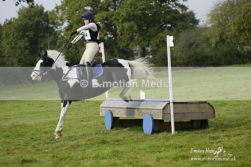  WWHT 171021 0737 - Open Novice (0.80m)  17/10/21