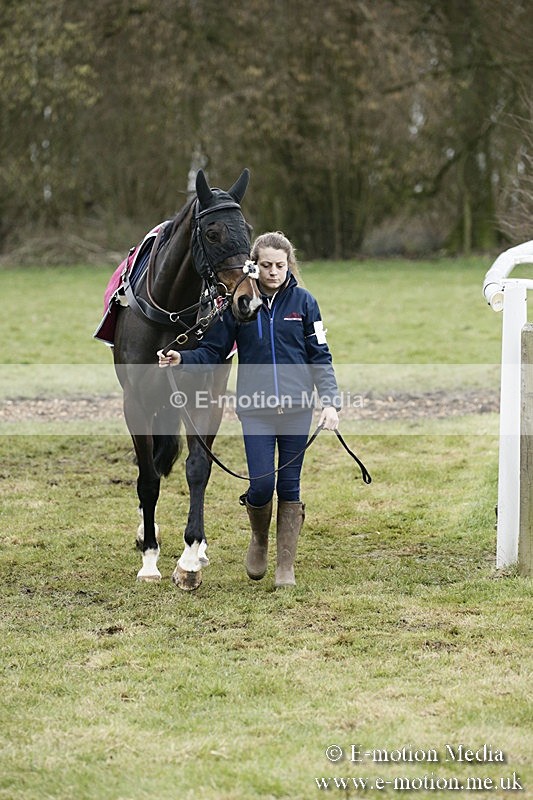 PtP 110318 88 - Hampshire Hunt Point-to-Point Hackwood Park 11/03/18