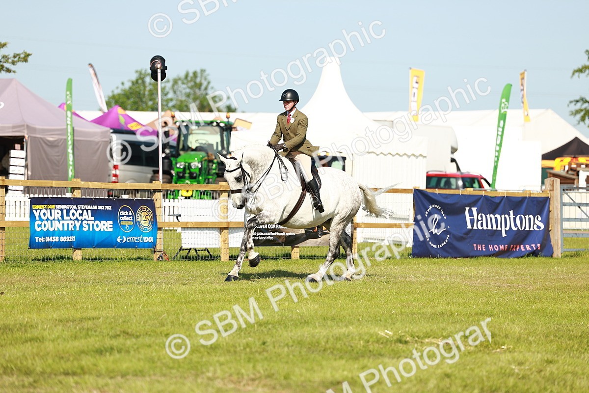 SBM_11819 - Class 66-69 - RIHS Ridden Hunters Inc Small Hunter