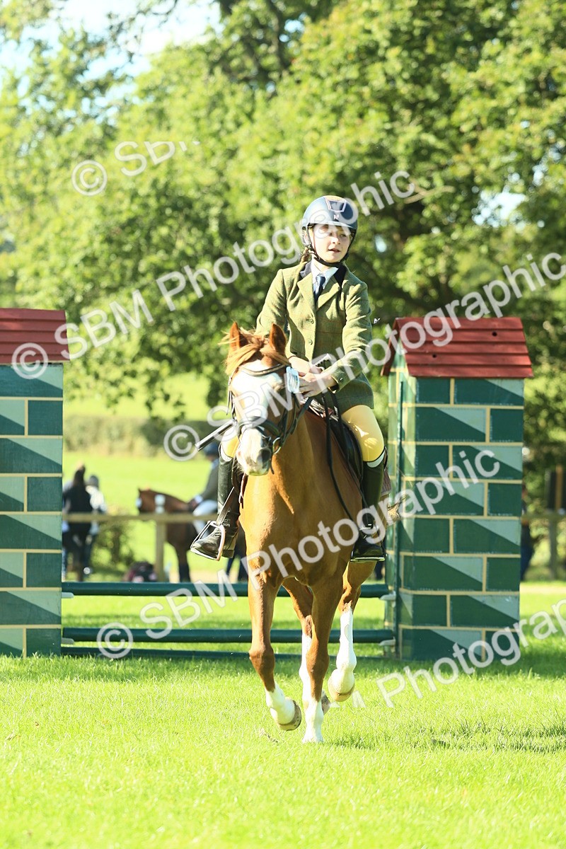 SBM_37454 - S29 - Novice & Newcomers Working Hunter Pony