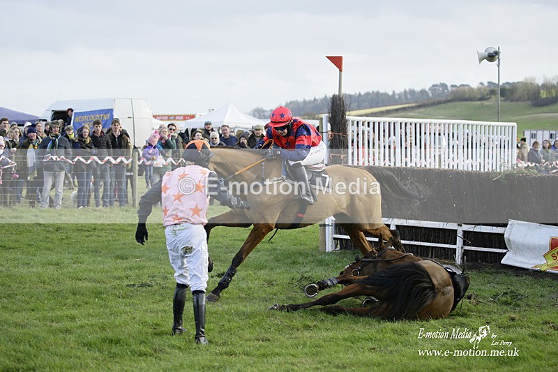 PtP 300122 548 - South Dorset Hunt - Point-to-Point Races 30/01/2022