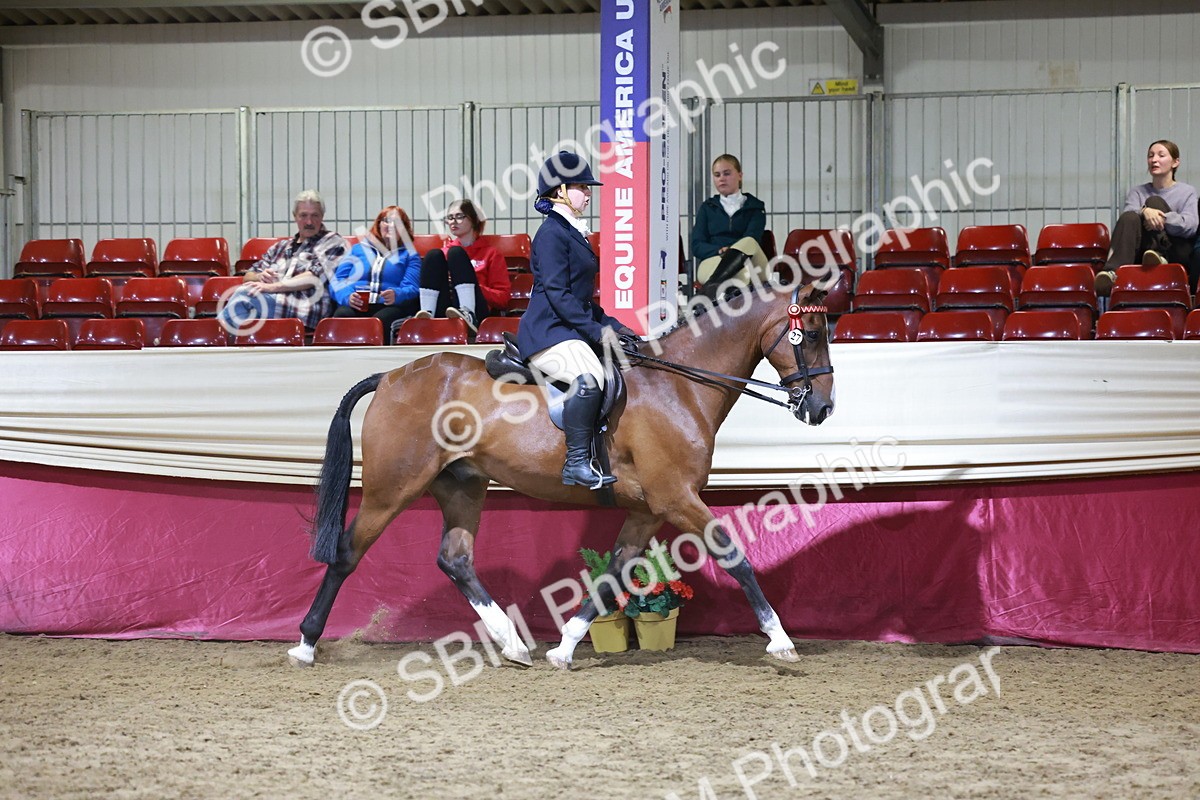 SBM_21140 - class Q - Ridden Horse Champ