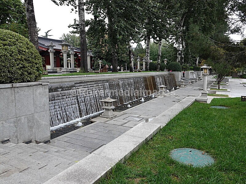 CHINA__0988 - China 2019