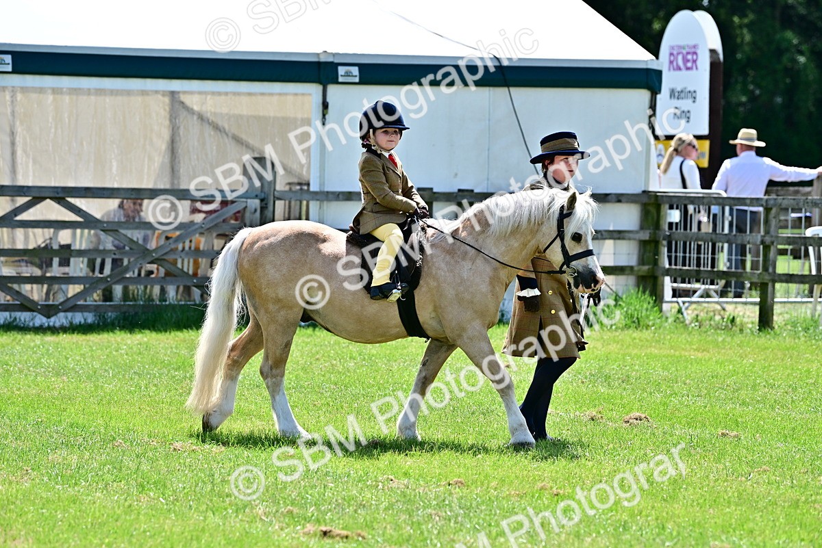 SBM_05747 - Class 59-60 - TSR M&M  Lear Rein and First Ridden Amateur of the year