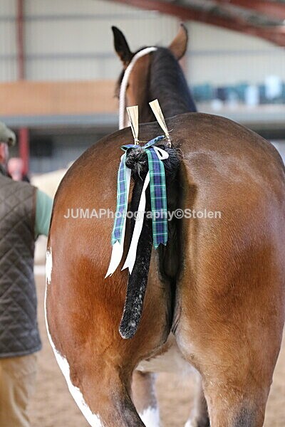 SIAL0246 - Indoor Classes