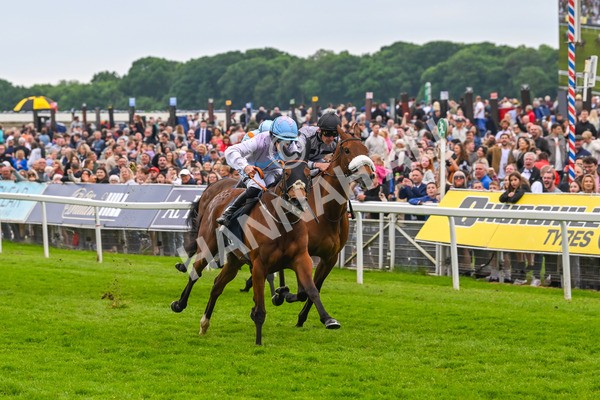 250524-Race 4-Term Of Endearment-3595 - Race 4 3.20pm William Hill Bronte Cup Fillies' Stakes