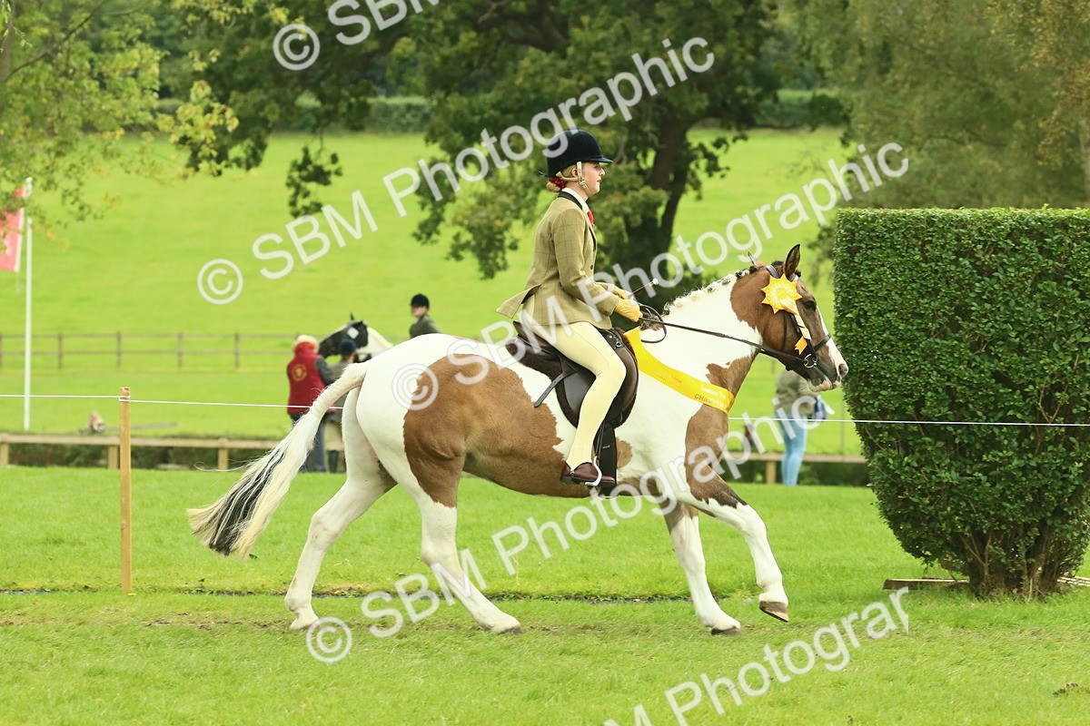 SBM_75019 - Ridden Pony Supreme Championship