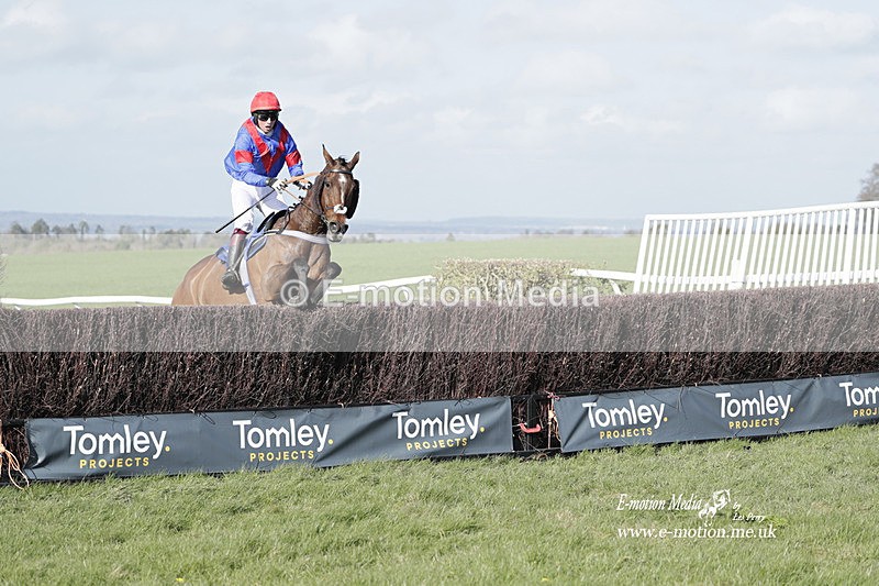 PtP 100423 1161 - Old Berkshire Point-to-Point Lockinge 10/04/23