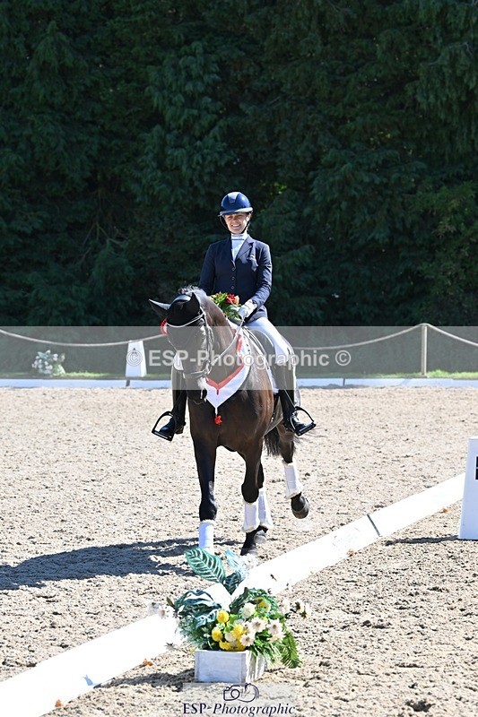 240811-153522-06684 - Adv Medium Gold