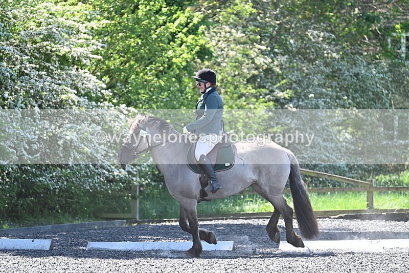 WJ7_9437 - Time 12:10 to 12:21