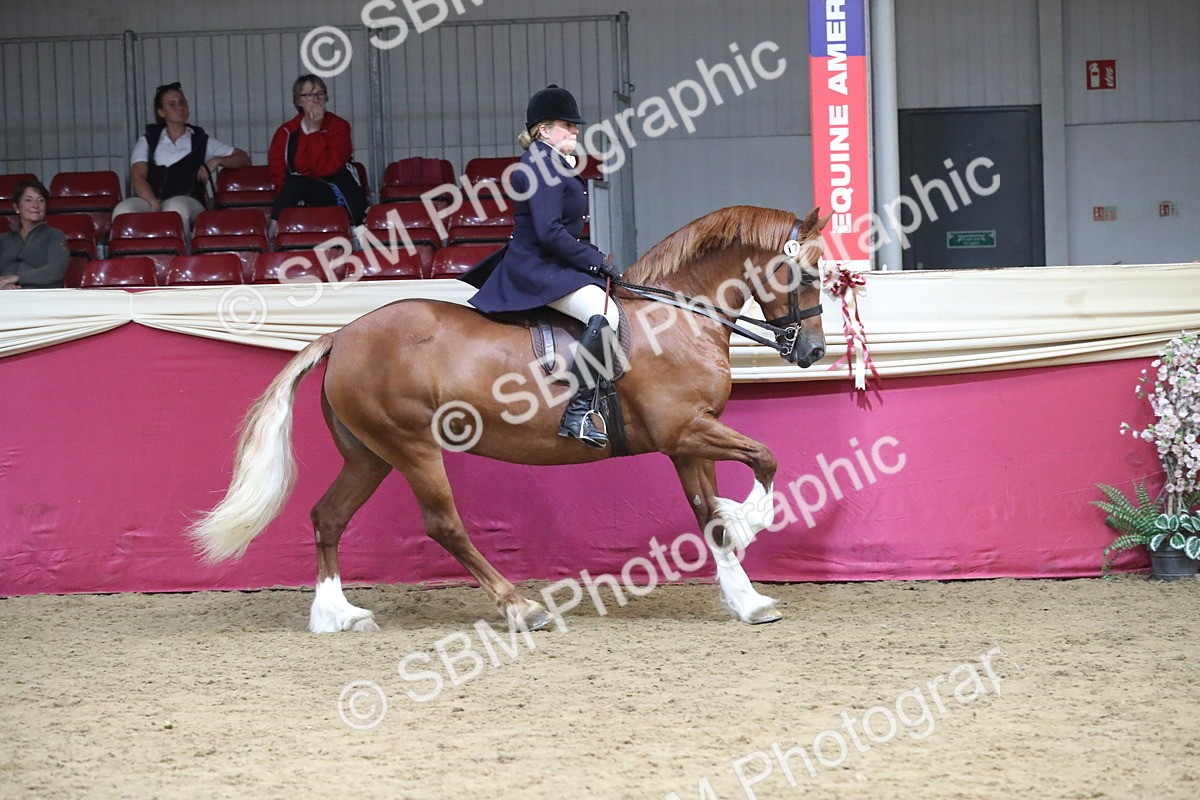 SBM_17193 - M&M Supreme Final Champ