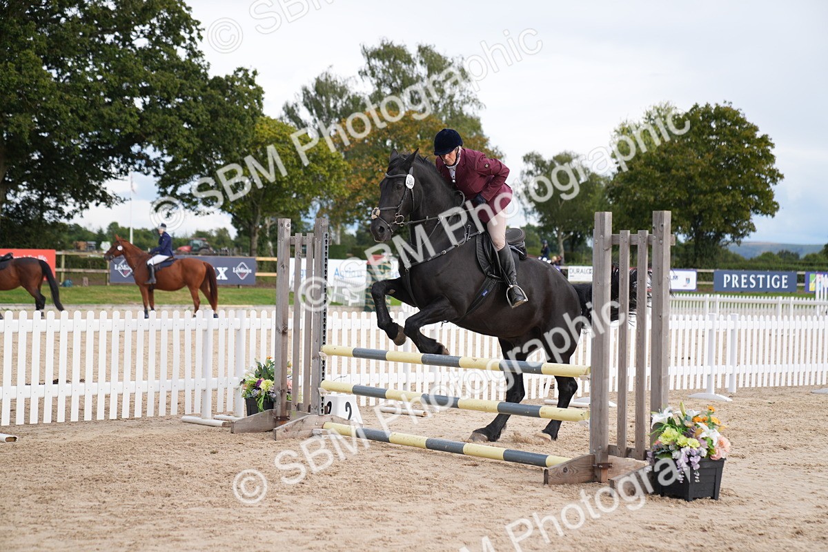SBM_10371 - J37 Veteran 75cm Championship