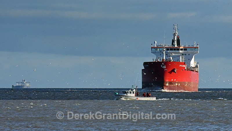 STI Clapham approaching Courtenay Bay Saint John New Brunswick Canada - Boats
