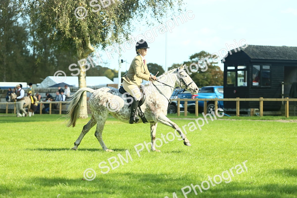 SBM_39245 - S29 - Novice & Newcomers Working Hunter Pony
