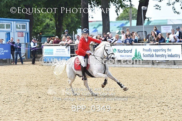 BPP_0349 - RHS 2019 Selection - *Just some random spectator shots so Lucky Dip if you are there!