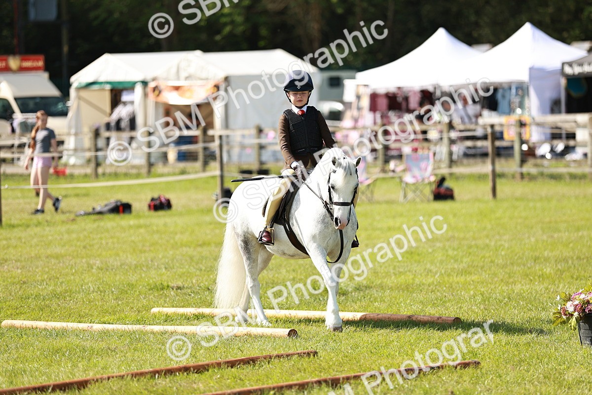 SBM_12677 - Class 106-107 - BSPS LIHS Working Sports Pony