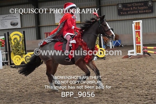 BPP_9056 - CLASS 3 50CM-70CM Pairs Show Jumping
