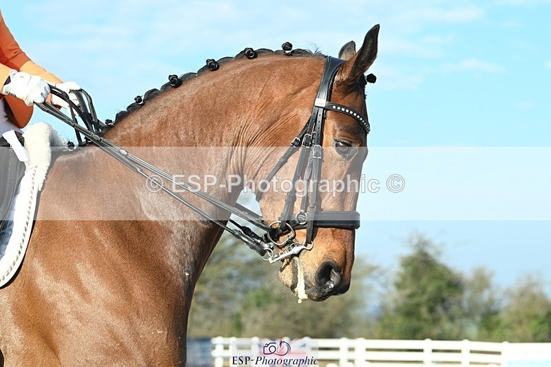 250403-080854-00253 - 038-Tyler.Bradshaw-Mexx