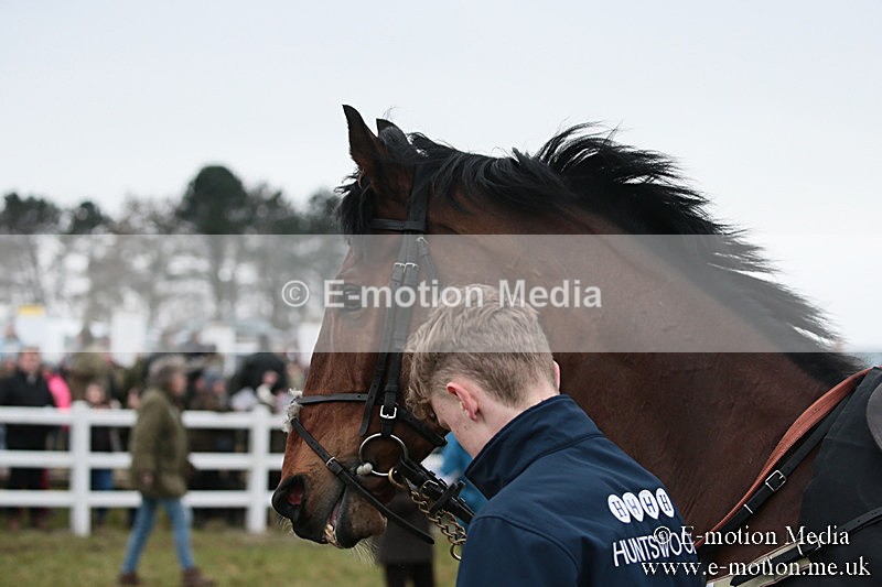 PtP 170219 -34 - Combined Services Point-To-Point Larkhill 17/02/19