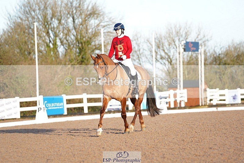 241214-102532-00168 - 108-Pippa.Knight-KFS.Boston.Burglar