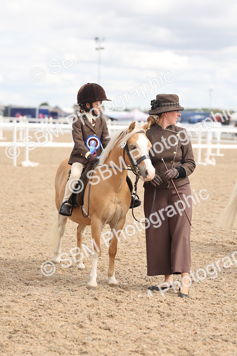 SBM_15838 - Class 309 - Lead Rein Pony