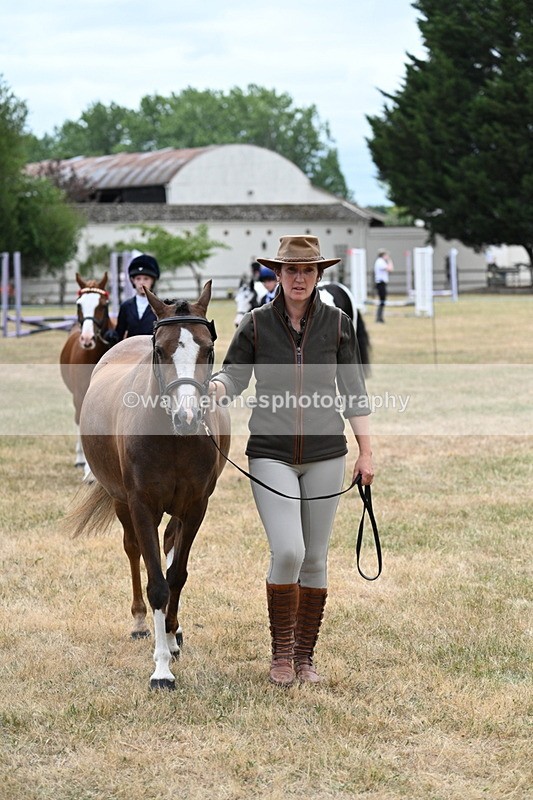 WJ7_1405 - Class 4 Prettiest Mare up to 14.2hh in hand