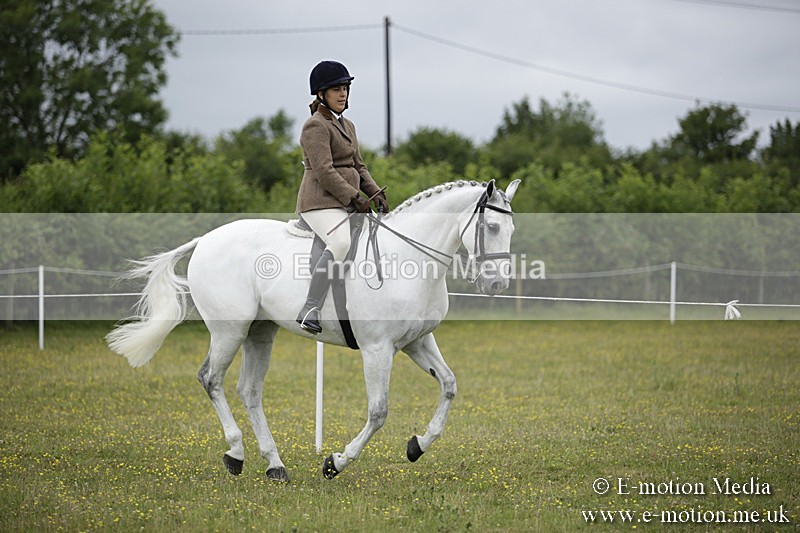 BVR160717-773 - Ring 1 BVRC Show 16/07/17