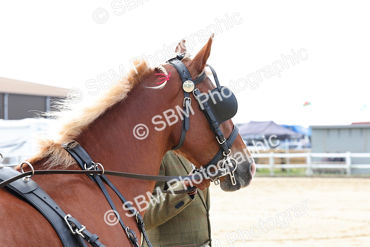 SBM_000469 - Class 2 - Exercise Vehicle 13.2hh & Under
