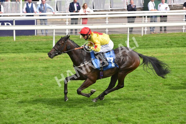 yr10072021r4-17 - Race 4: 3.30pm John Smith's Nursery Stakes