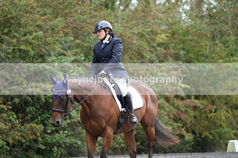 WJ7_6449 - Time 14:49 to 15:14