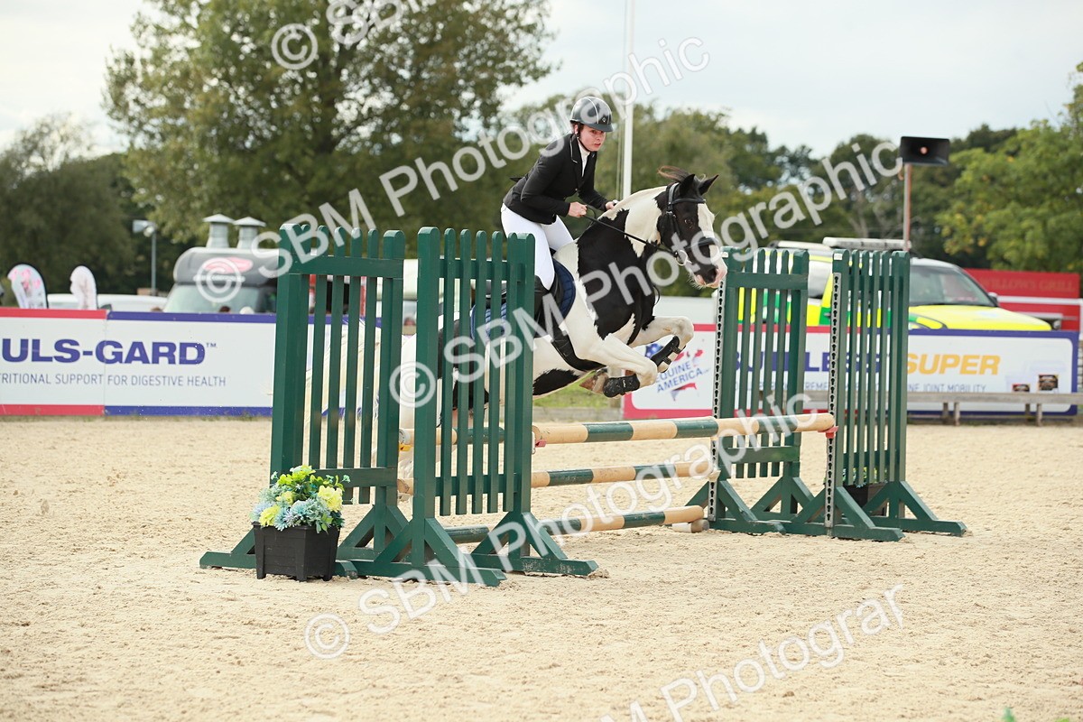 SBM_10176 - J31 Senior 75cm Championship