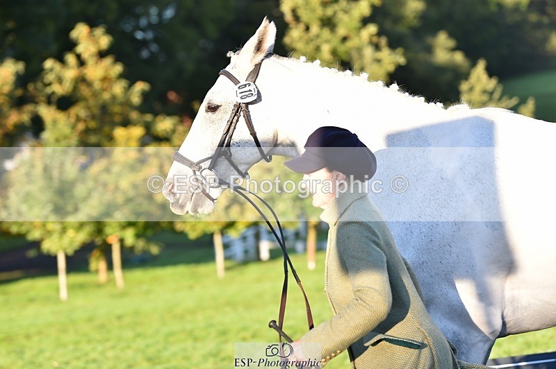 231022-085504-21449 - 618-LORD.PICTON.FREESTYLE-Penny.Corbett-TrotUp+SJ