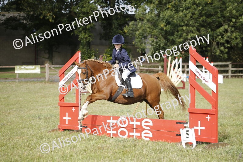 20250831-0122 - Class 1 - 50cm