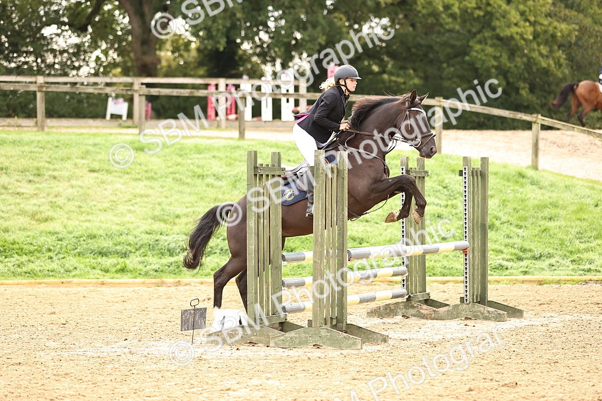 SBM_58465 - J41 - Grand Tour Horse & Pony 95cm