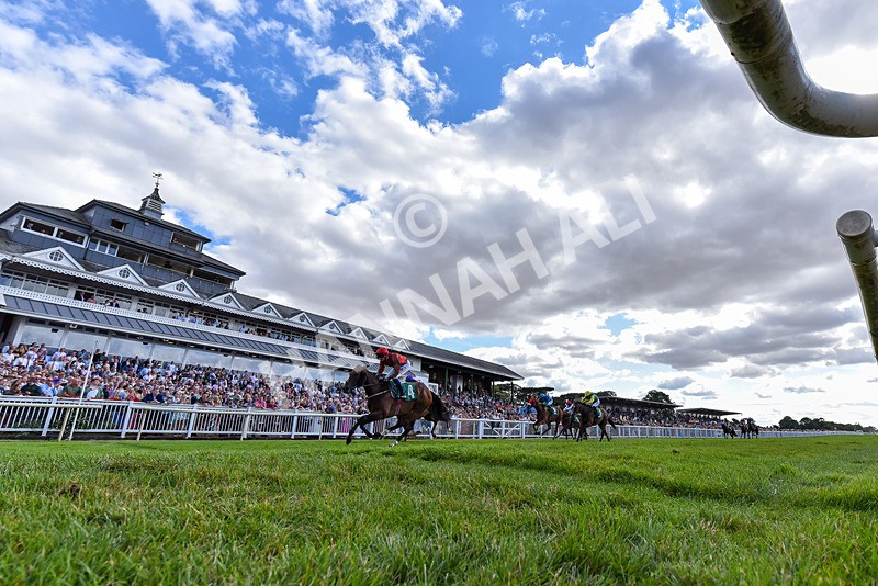 010826-Race 7-Maldevious-4742 - Race 7 16.55pm John Joseph Robson Memorial Handicap