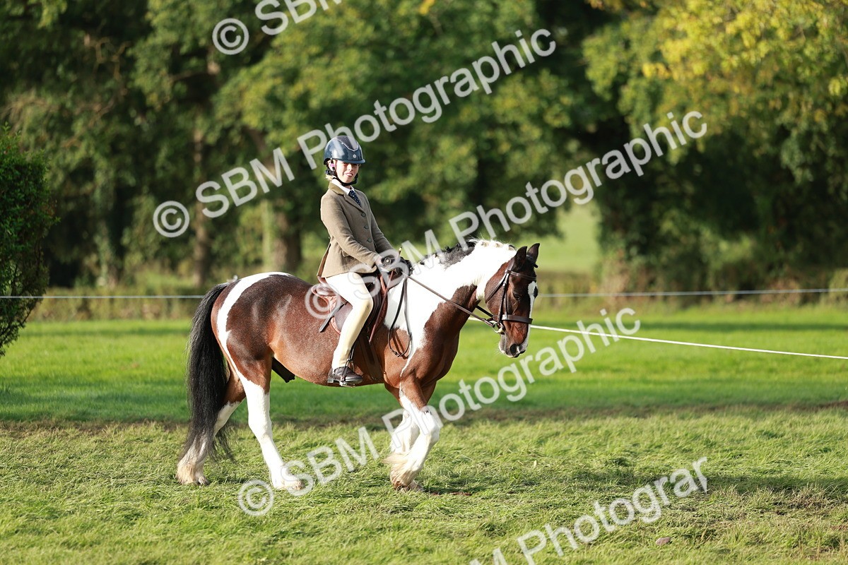 SBM_56244 - S39 - Starters In Hand Showing