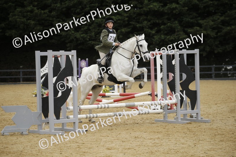 20250622-6151 - 60cm