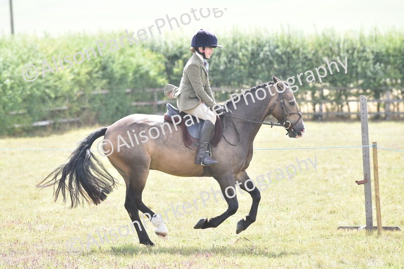 20250831-3976 - Class 12 - Working Hunter Pony 14.2hh and Under