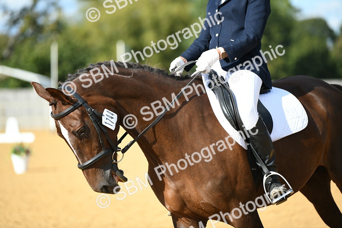 SBM_27055 - D16 - Small Tour Championship - Novice 28