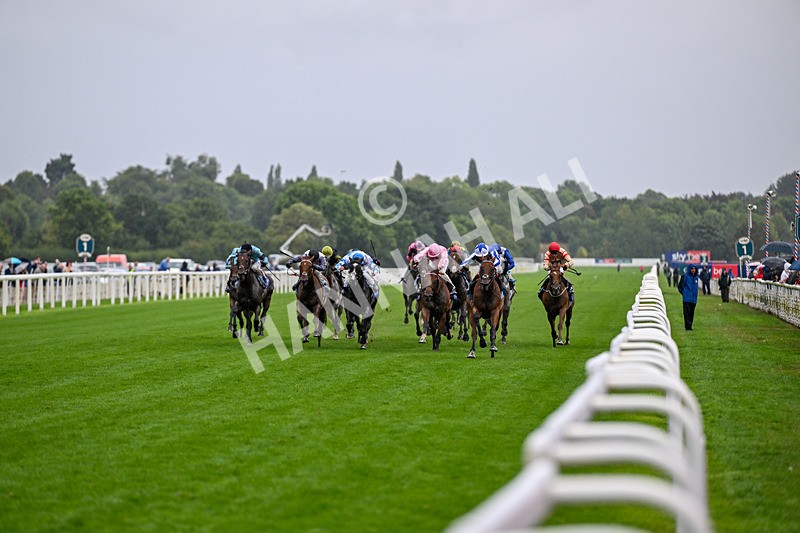 200826-Race 3-The Lost King-3312 - Race 3 15.00pm Sir Kevin Sinfield 7 In 7 Grand Finale Handicap