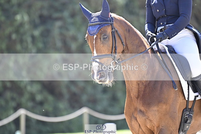 250522A-120510-03355 - B-322-Amelia.Winter-WOLK