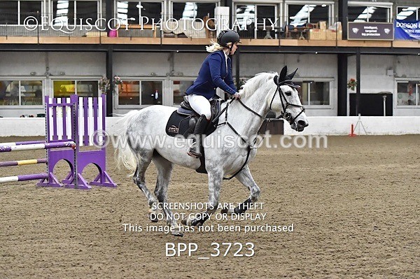 BPP_3723 - FRI CLASS 21 BR NOVICE/90CM