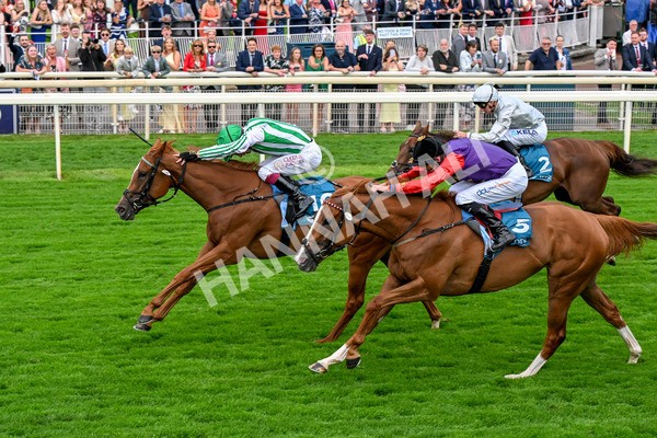 250725-Race 5-Sand Gazelle-0728 - Race 5 7.48pm British EBF Lyric Fillies' Stakes