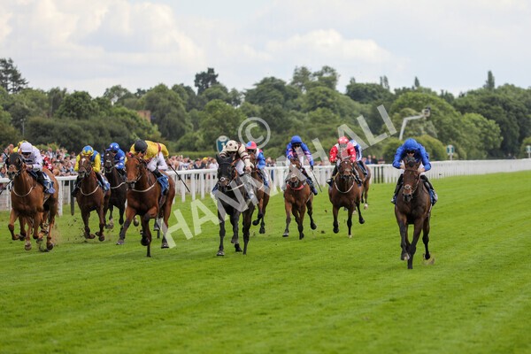 yr11062022r7-13 - Race 7 4.50pm The Ice Co Supporting Macmillan Stakes
