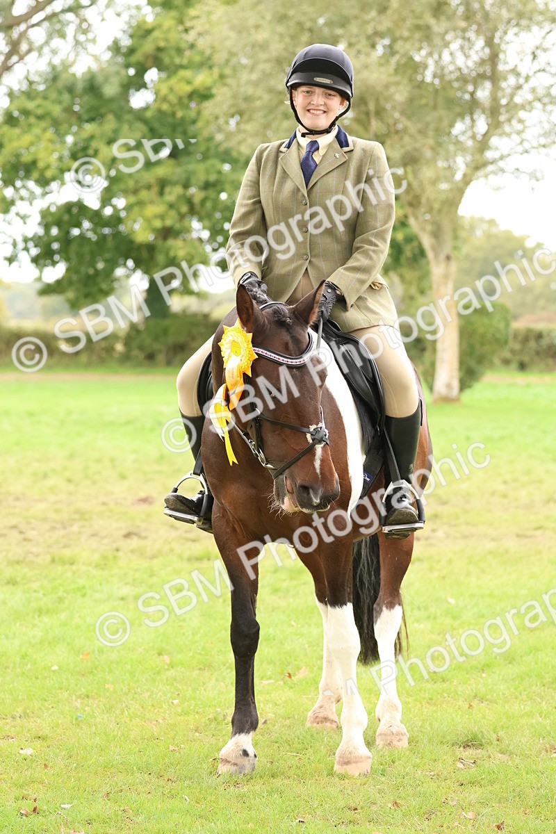 SBM_60002 - S36 - Rehabiliated Rescue Horse & Pony In Hand & Ridden